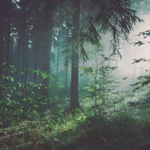 少妇大阴舔舔高潮
